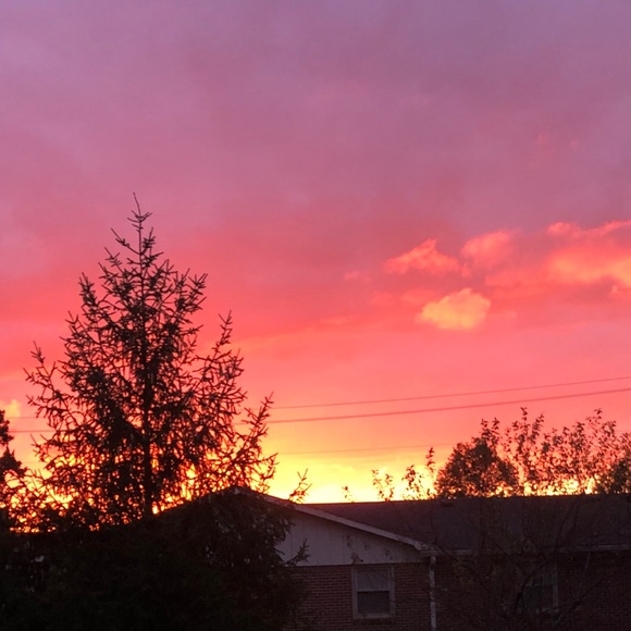 Meet your Posher, Landon - Picture 1 of 1